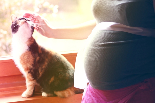 Toxoplazmózis - Tényleg kerülnöd kell a cicákat?